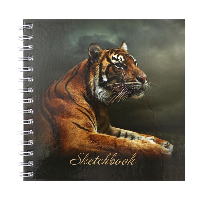 Скетчбук 195 х 195 мм, 80 листов на гребне "Тигр", твёрдая обложка, блок 100 г/м² - Фото 1