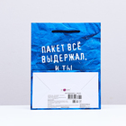 Пакет подарочный "Пакет все выдержал и ты выдержишь",  18 х 22,3 х 10 см 10331348 - фото 16890232
