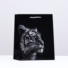Пакет подарочный "Тигр",  18 х 22,3 х 10 см - фото 321081697