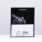 Пакет подарочный "Тигр",  18 х 22,3 х 10 см - фото 23705963