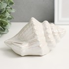 Копилка керамика "Ракушка" белый перламутр 15х11х9,5 см - фото 9075371