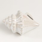 Копилка керамика "Ракушка" белый перламутр 15х11х9,5 см - фото 9075372