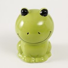 Копилка керамика "Маленький зелёный лягушонок" 7х6,8х10 см - Фото 5
