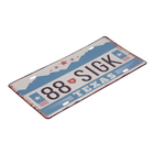 Декоративный номерной знак, «Техас», металл, 30×15 см - Фото 2