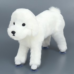 {{photo.Alt || photo.Description || 'Кукла для собак, 30 см, белая'}}
