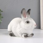 Копилка  "Кролик №1  Белый с чёрными кончиками" высота 14 см, ширина 10 см, длина 18 см. - Фото 2
