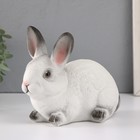 Копилка  "Кролик №1  Белый с чёрными кончиками" высота 14 см, ширина 10 см, длина 18 см. - фото 9794085