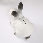 Копилка  "Кролик №1  Белый с чёрными кончиками" высота 14 см, ширина 10 см, длина 18 см. - Фото 5