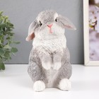 Копилка для денег «Кролик», гипс, 17.5×11.5×11.5 см - Фото 2