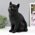 Копилка  "Кошка Черная окраска" высота 31,5 см, ширина 16 см, длина 24 см. - фото 4809161