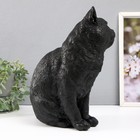Копилка  "Кошка Черная окраска" высота 31,5 см, ширина 16 см, длина 24 см. - фото 9126188