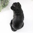 Копилка  "Кошка Черная окраска" высота 31,5 см, ширина 16 см, длина 24 см. - фото 25395278 Копилка  "Кошка Черная окраска" высота 31,5 см, ширина 16 см, длина 24 см. - фото 25395278