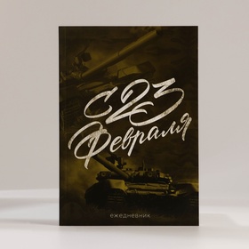 Подарочный набор, ежедневник А5, 80 листов, наклейки и ручка «С 23 февраля»