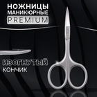 Ножницы маникюрные «Premium», загнутые, узкие, 9,5 см, на блистере, цвет серебристый - Фото 1
