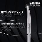 Ножницы маникюрные «Premium», загнутые, узкие, 9,5 см, на блистере, цвет серебристый - Фото 2
