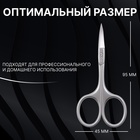 Ножницы маникюрные «Premium», загнутые, узкие, 9,5 см, на блистере, цвет серебристый - Фото 3