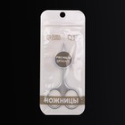 Ножницы маникюрные «Premium», загнутые, узкие, 9,5 см, на блистере, цвет серебристый - Фото 9
