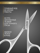 Ножницы маникюрные «Premium», прямые, узкие, 9.5 см, на блистере - Фото 2