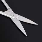 Ножницы маникюрные «Premium», прямые, узкие, 9,5 см, на блистере, цвет серебристый - Фото 7
