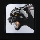 Кепка «Пантера», цвет чёрный, р-р 56 9942492