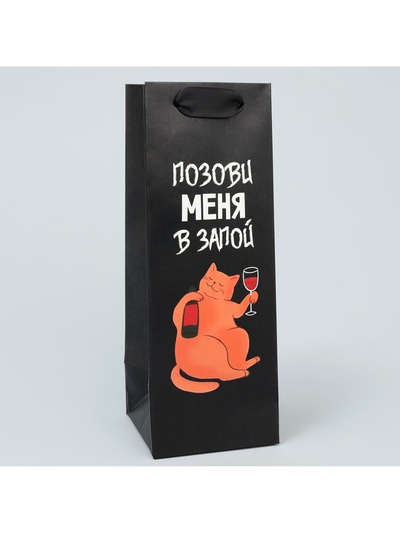 Пакет подарочный, упаковка «В запой», 9×25×8.5 см