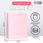 Пакет подарочный ламинированный «Розовый», L 31×40×14 см - Фото 1