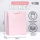 Пакет подарочный ламинированный «Розовый», M 26×32×12 см - Фото 1