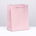 Пакет ламинированный «Розовый», MS 18 × 23 × 10 см - фото 321084446