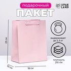 Пакет подарочный ламинированный «Розовый», MS 18×23×10 см - Фото 1