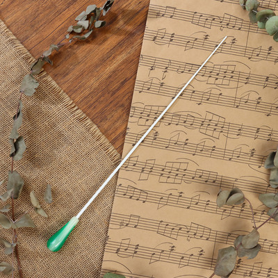 Дирижерская палочка Music Life, 38.5×2 см, зеленая ручка