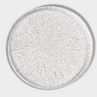 Тарелка стеклянная десертная с бортиком «Нуук», d=21 см - фото 321085440
