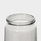 Кувшин стеклянный с пластиковым фильтром Renga «Дэйзи», 1,5 л, цвет серый - фото 4420109