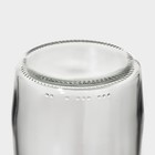Кувшин стеклянный с пластиковым фильтром Renga «Дэйзи», 1,5 л, цвет серый - фото 4420110