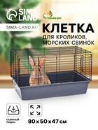 Светло-серая