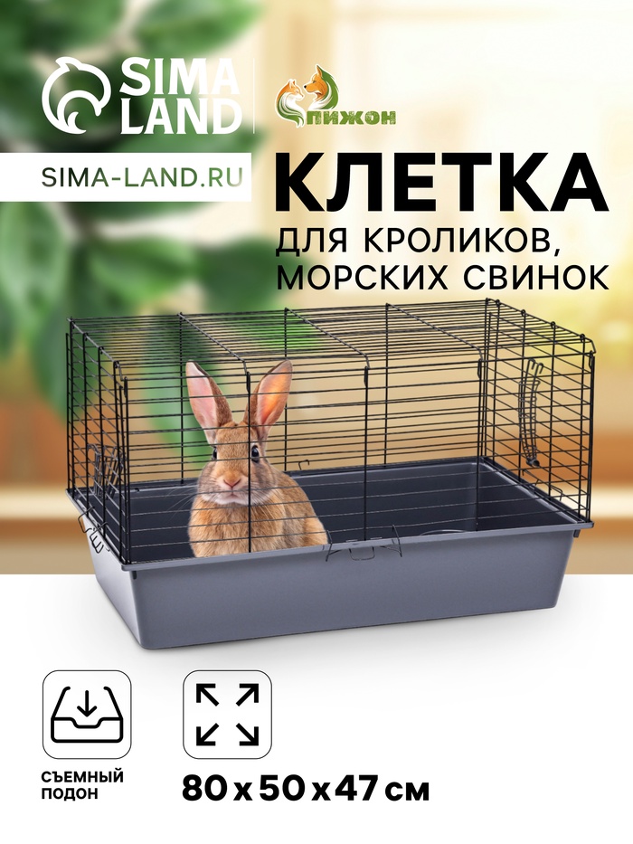 Клетка для кроликов, морских свинок «Пижон» №4 складная, 80×50×47 см, светло-серая - Фото 1