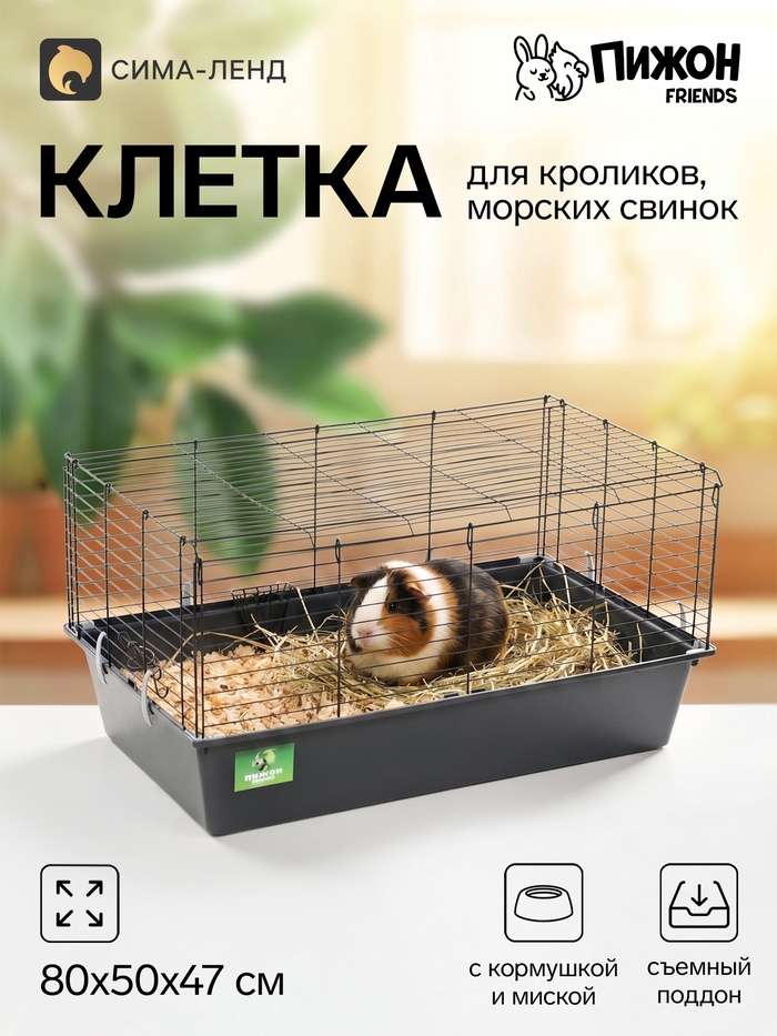 Клетка для кроликов, морских свинок «Пижон» №4 складная, 80×50×47 см, светло-серая - Фото 1