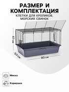 Клетка для кроликов, морских свинок «Пижон» №4 складная, 80×50×47 см, светло-серая - Фото 2
