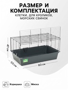 Клетка для кроликов, морских свинок «Пижон» №4 складная, 80×50×47 см, светло-серая - Фото 2