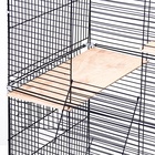 Клетка для шиншиллы «Пижон» №10, разборная, 58×40×88, бирюзовая - Фото 14