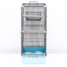 Клетка для шиншиллы «Пижон» №10, разборная, 58×40×88, бирюзовая - Фото 5