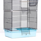 Клетка для шиншиллы «Пижон» №10, разборная, 58×40×88, бирюзовая - Фото 10
