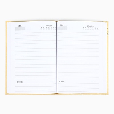 Подарочный набор «23 февраля», ежедневник в твердой обложке А5, 80 л, термостакан 350 мл