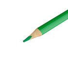 Карандаши цветные 24 цвета, Мульти-Пульти "Чебурашка", трехгранные, заточенные, металлический пенал - фото 23695022