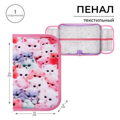 Пенал школьный, 1 секция, 13×21×4 см «Котики пушистики»
