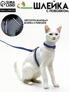 Комплект для кошек, шлейка 21-35 см, ширина 1 см, поводок 120 см, светоотражающий, синий - Фото 1