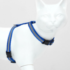 Комплект для кошек светоотражающий,ширина 1 см,шлейка 21-35 см,поводок 120 см, синий - фото 9076028