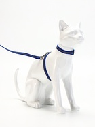 Комплект для кошек, шлейка 21-35 см, ширина 1 см, поводок 120 см, светоотражающий, синий - Фото 2