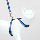 Комплект для кошек светоотражающий,ширина 1 см,шлейка 21-35 см,поводок 120 см, синий - Фото 3