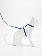 Комплект для кошек, шлейка 21-35 см, ширина 1 см, поводок 120 см, светоотражающий, синий - Фото 3