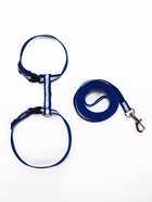 Комплект для кошек, шлейка 21-35 см, ширина 1 см, поводок 120 см, светоотражающий, синий - Фото 4